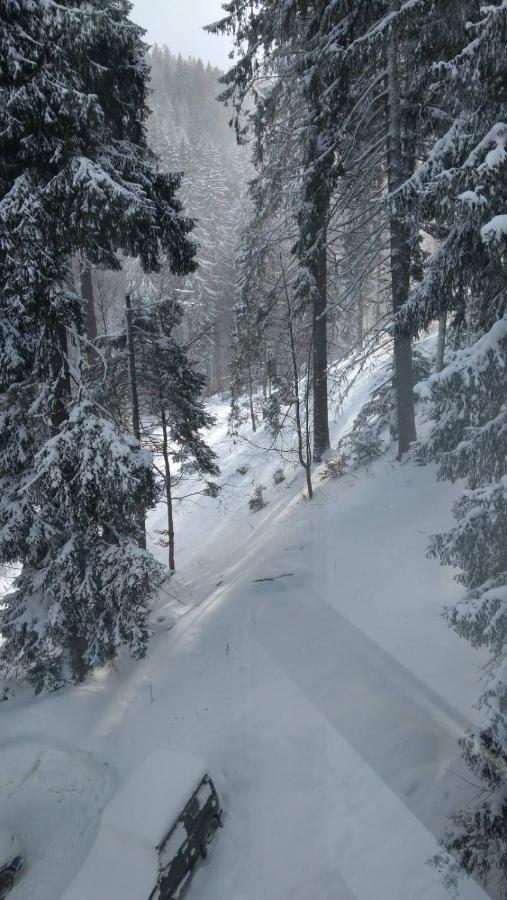 Ski & Holiday Apartments In Pamporovo Eksteriør billede