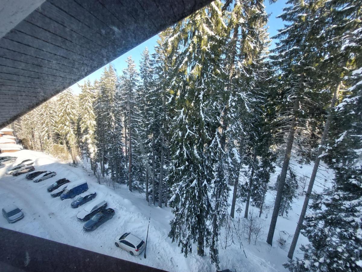 Ski & Holiday Apartments In Pamporovo Eksteriør billede