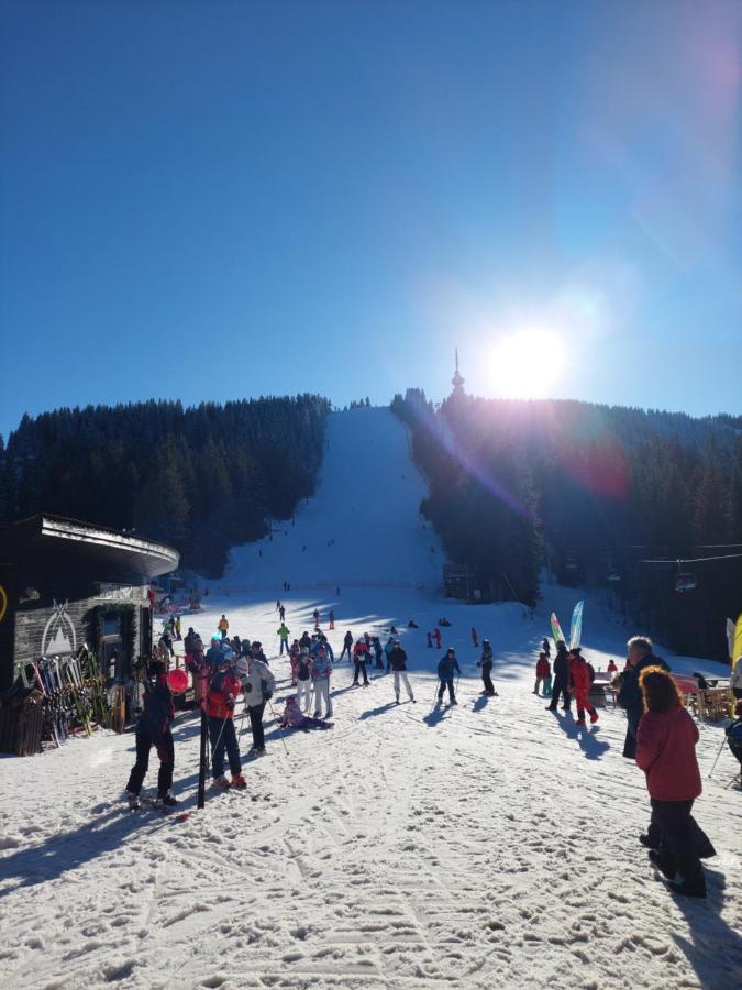Ski & Holiday Apartments In Pamporovo Eksteriør billede