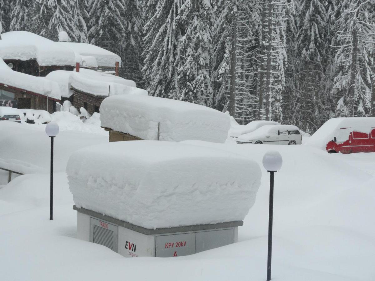 Ski & Holiday Apartments In Pamporovo Eksteriør billede