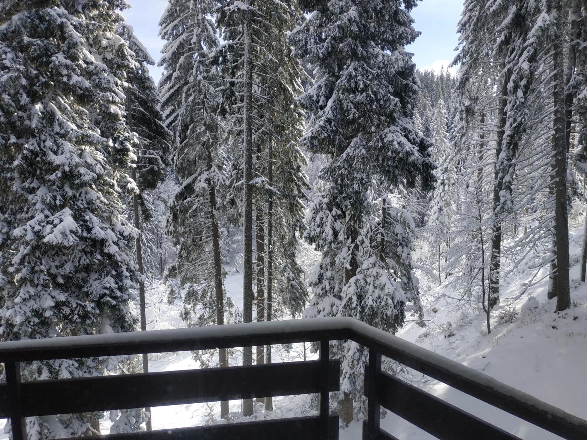 Ski & Holiday Apartments In Pamporovo Eksteriør billede