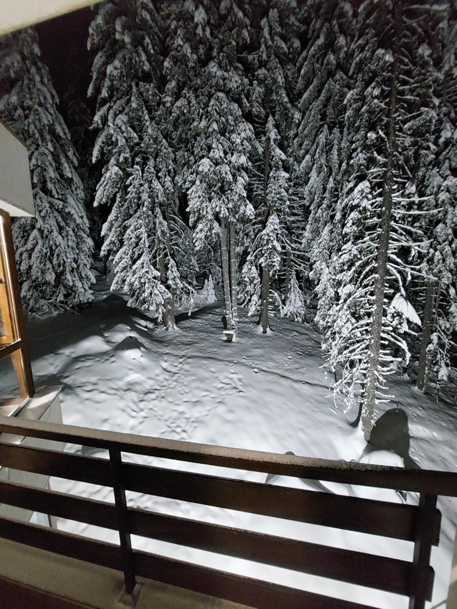 Ski & Holiday Apartments In Pamporovo Eksteriør billede